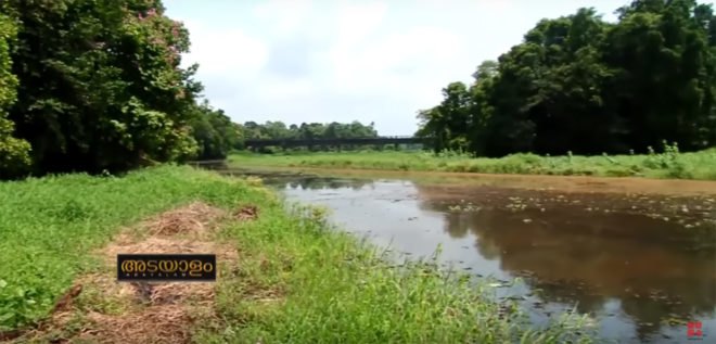 Kuttemperoor river, south kerala, dying river brought to life, 700 villagers resurrect dying river, cesspool of a river brought to life, dead river brought to life, India, pollution, industrial waste, inspiring stories, inspiration