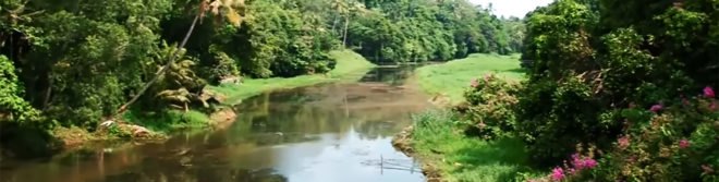 Kuttemperoor river, south kerala, dying river brought to life, 700 villagers resurrect dying river, cesspool of a river brought to life, dead river brought to life, India, pollution, industrial waste, inspiring stories, inspiration