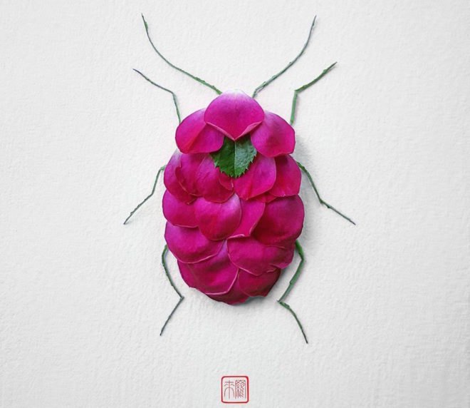 Natura Insects by Raku Inoue, flower arrangement by Raku Inoue, Reikan apparel, challengeofthe9, insects made of flower petals, flower petal sculptures,