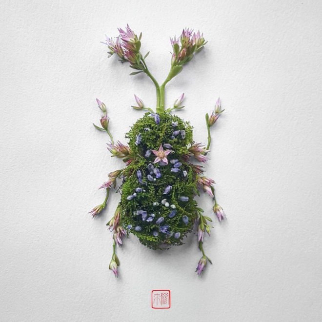 Natura Insects by Raku Inoue, flower arrangement by Raku Inoue, Reikan apparel, challengeofthe9, insects made of flower petals, flower petal sculptures,