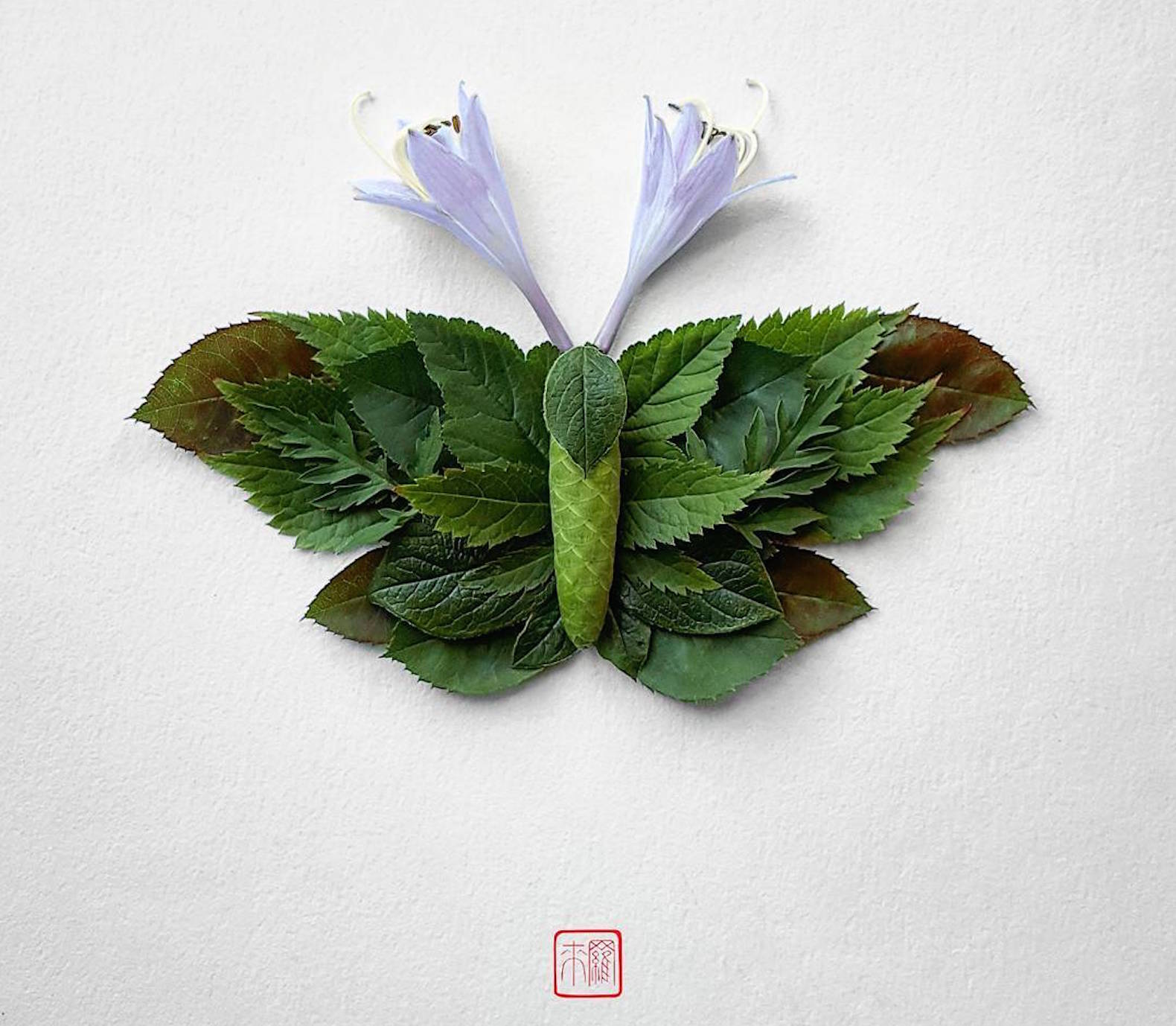 Natura Insects by Raku Inoue, flower arrangement by Raku Inoue, Reikan apparel, challengeofthe9, insects made of flower petals, flower petal sculptures,