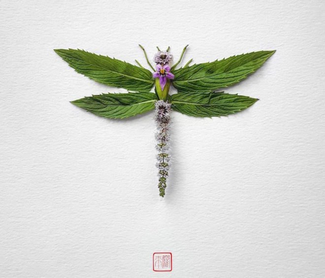 Natura Insects by Raku Inoue, flower arrangement by Raku Inoue, Reikan apparel, challengeofthe9, insects made of flower petals, flower petal sculptures,
