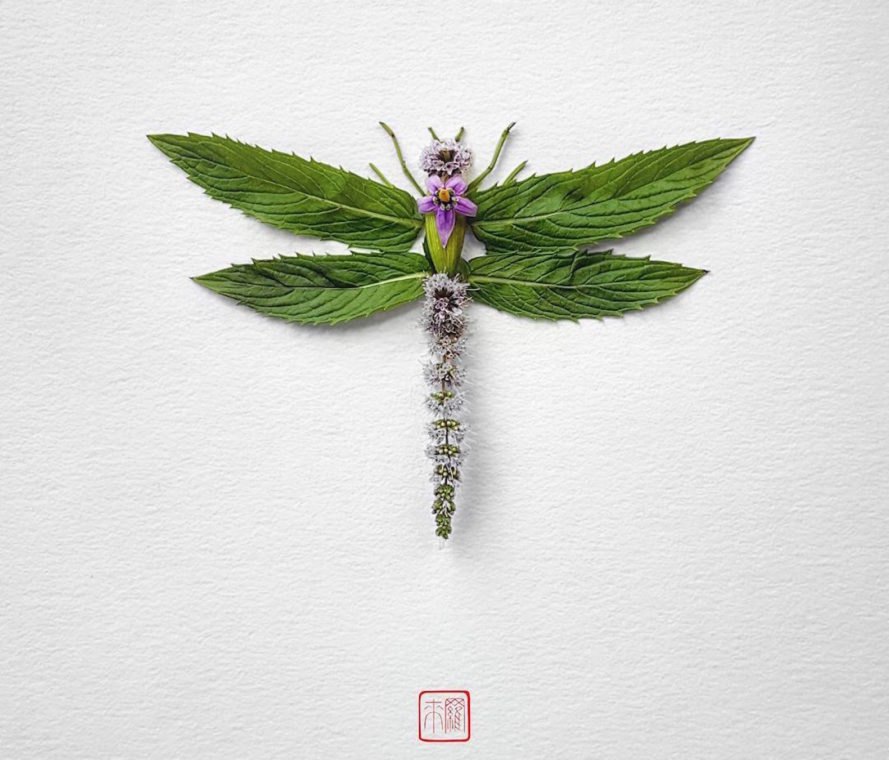 Natura Insects by Raku Inoue, flower arrangement by Raku Inoue, Reikan apparel, challengeofthe9, insects made of flower petals, flower petal sculptures,