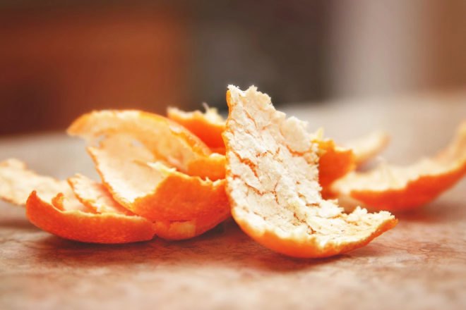 Princeton University, Costa Rica, Del Oro, Área de Conservación Guanacaste, orange, oranges, orange peel, orange peels, agricultural waste, forest, forests, environment, biodegrade