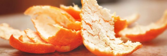 Princeton University, Costa Rica, Del Oro, Área de Conservación Guanacaste, orange, oranges, orange peel, orange peels, agricultural waste, forest, forests, environment, biodegrade