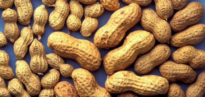 peanuts, peanut butter, growing peanuts