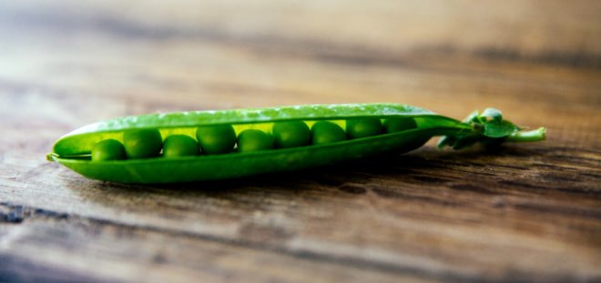 peas, green peas, sweet peas, English peas