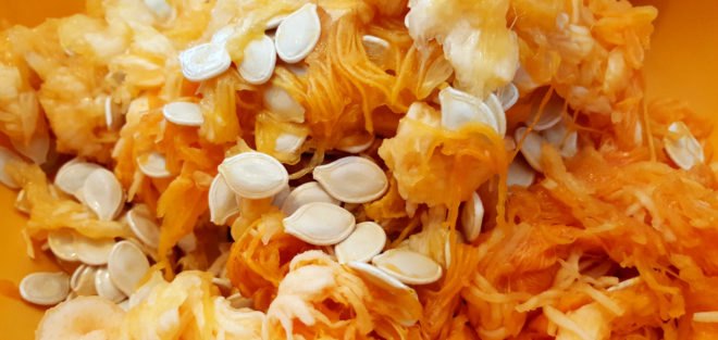 pumpkin, pumpkins, pumpkin seeds, toasted pumpkin seeds, squash seeds