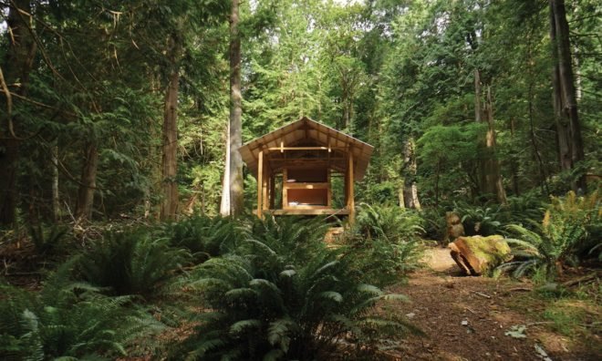 Salamander by University of British Columbia, University of British Columbia SALA, SALA design build, UBC design build, Gambier Island cabins, Gambier Island architecture, design build student architecture projects, Camp Fircom architecture,