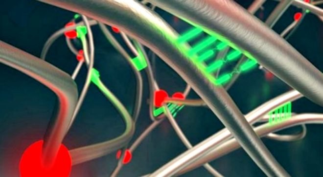 self-healing, rubber, Harvard researchers, science, green technology, innovation,