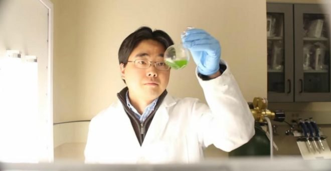 paper battery, Professor Seokheun Choi, saliva, power, energy, rural, poverty-stricken, Binghamton University