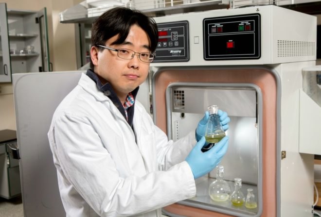 paper battery, Professor Seokheun Choi, saliva, power, energy, rural, poverty-stricken, Binghamton University