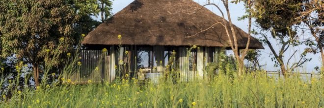 Tree Villa by Architecture BRIO, Tree Villa in Tala, Tree Villa eco-resort, Tree Villa treehouse, Treesort in Tala, eco treesort, Tala eco resort, luxury eco resort in Tala
