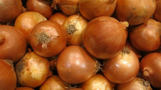 yellow onion, onion dye, onion skin dye, dyeing with onion skins