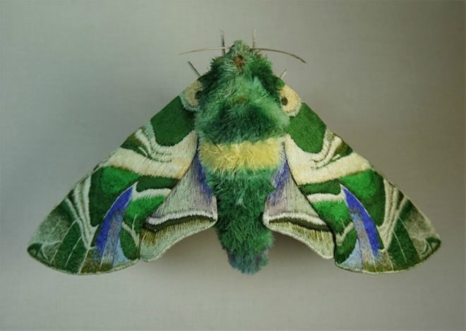 Yumi Okita, moth sculptures, fiber art, insect art, fabric sculptures, miniature sculptures, butterfly art, moth art, textile moth art, embroidered moths, embroidery art, diy art, etsy artists, intricate moth art, animal scupltures, textile artwork, textile sculptures