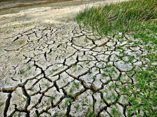 climate change, global warming, climate change, climate science, rising temperatures, Global Warming Policy Foundation, Ed Hawkins