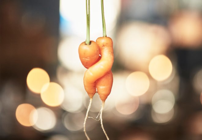 IKEA, food waste, 2020, UK, US, Swedish, vegetarian, carbon footprint, eco-friendly, green technology,