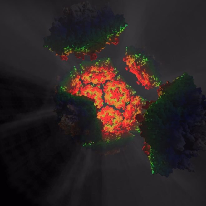 polio, computer generated image, polio model