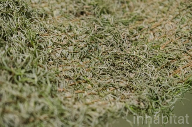 Naturalise, Ainhoa Garmendia, hammock, living furniture, soil-less plants, Spanish Moss, Tillandsia Usneoides, eco-fabric