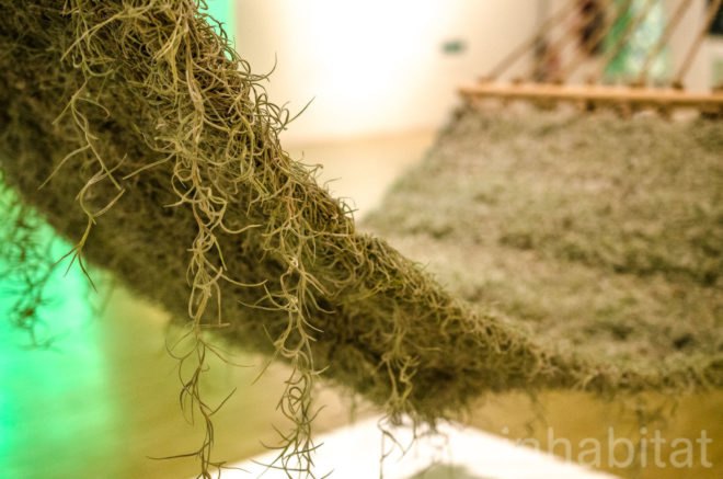 Naturalise, Ainhoa Garmendia, hammock, living furniture, soil-less plants, Spanish Moss, Tillandsia Usneoides, eco-fabric