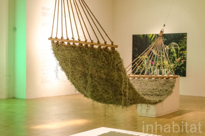 Naturalise, Ainhoa Garmendia, hammock, living furniture, soil-less plants, Spanish Moss, Tillandsia Usneoides, eco-fabric