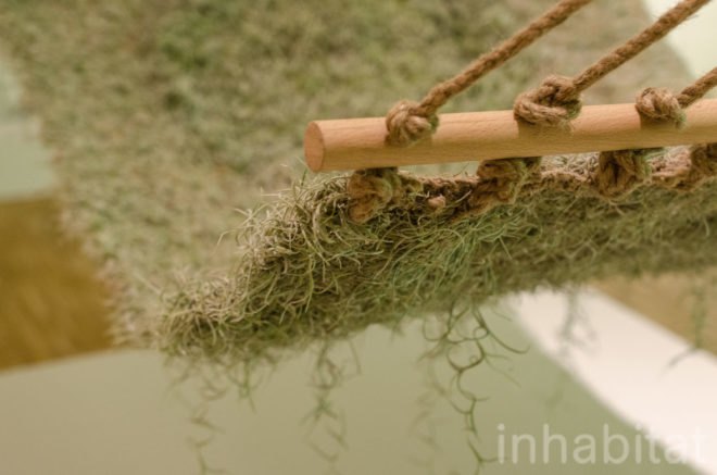 Naturalise, Ainhoa Garmendia, hammock, living furniture, soil-less plants, Spanish Moss, Tillandsia Usneoides, eco-fabric