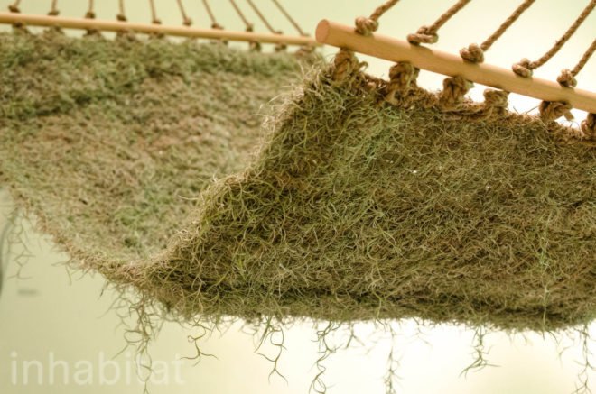 Naturalise, Ainhoa Garmendia, hammock, living furniture, soil-less plants, Spanish Moss, Tillandsia Usneoides, eco-fabric