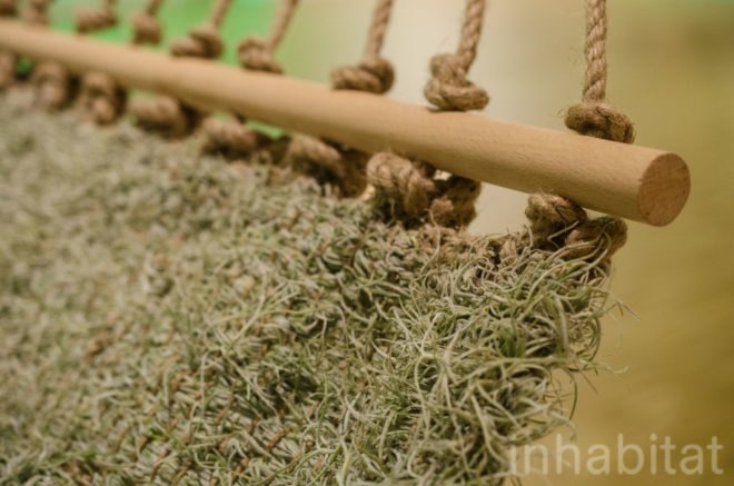 Naturalise, Ainhoa Garmendia, hammock, living furniture, soil-less plants, Spanish Moss, Tillandsia Usneoides, eco-fabric