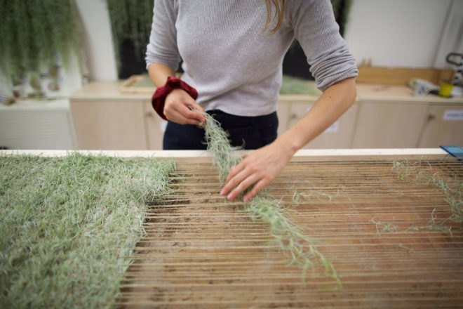 Naturalise, Ainhoa Garmendia, hammock, living furniture, soil-less plants, Spanish Moss, Tillandsia Usneoides, eco-fabric