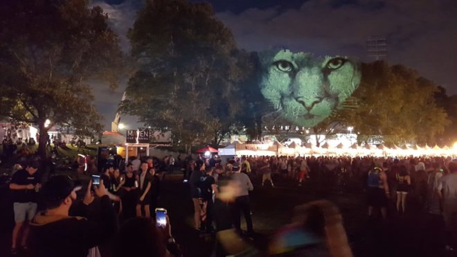 Animal Watching art, Animal Watching by Maizz Visual, Animal Watching Electric Zoo Festival, video installation art, large scale environmental awareness art, habitat destruction awareness art, Electric Zoo Festival installations,
