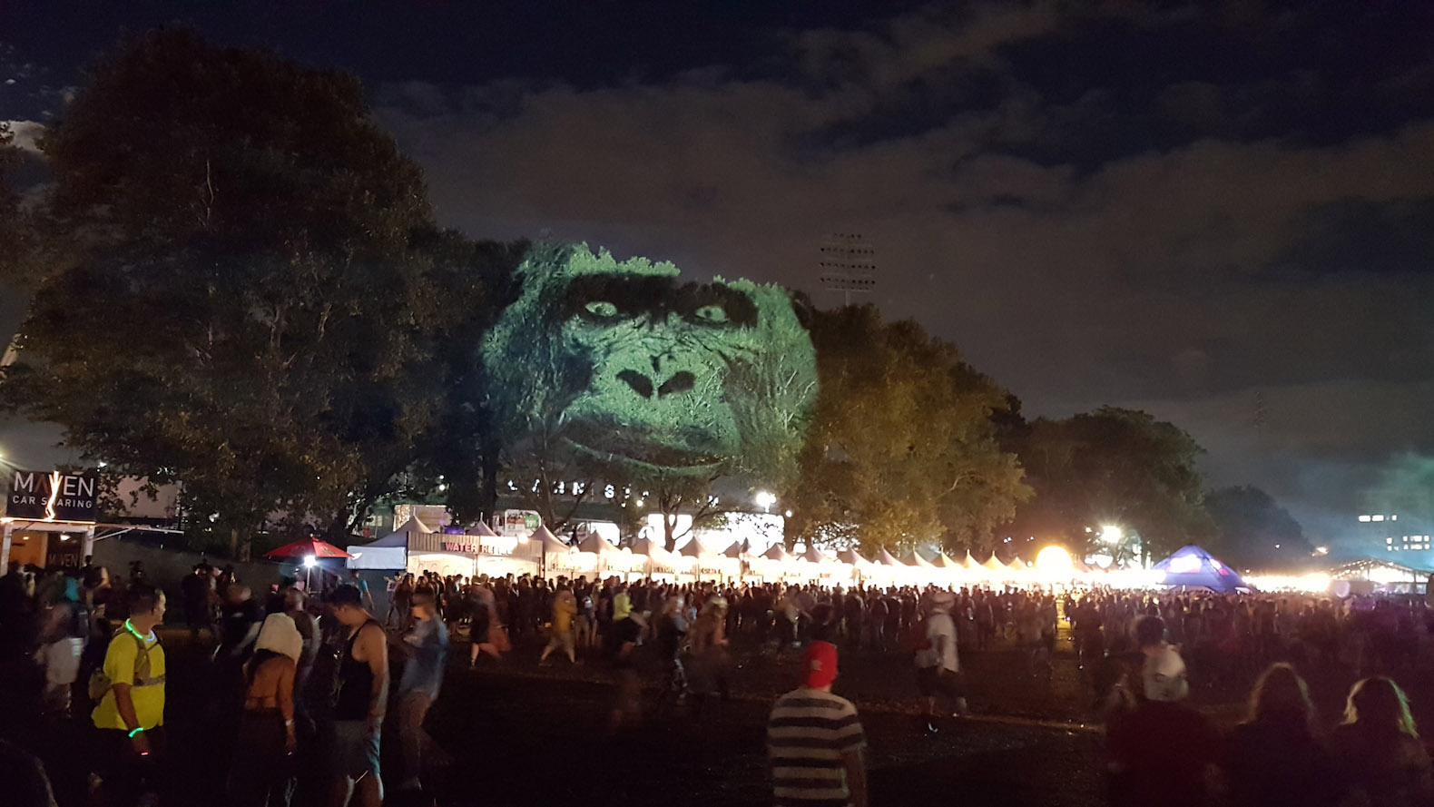 Animal Watching art, Animal Watching by Maizz Visual, Animal Watching Electric Zoo Festival, video installation art, large scale environmental awareness art, habitat destruction awareness art, Electric Zoo Festival installations,