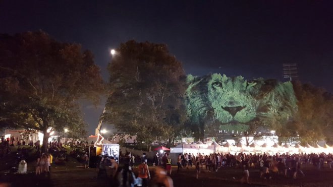 Animal Watching art, Animal Watching by Maizz Visual, Animal Watching Electric Zoo Festival, video installation art, large scale environmental awareness art, habitat destruction awareness art, Electric Zoo Festival installations,