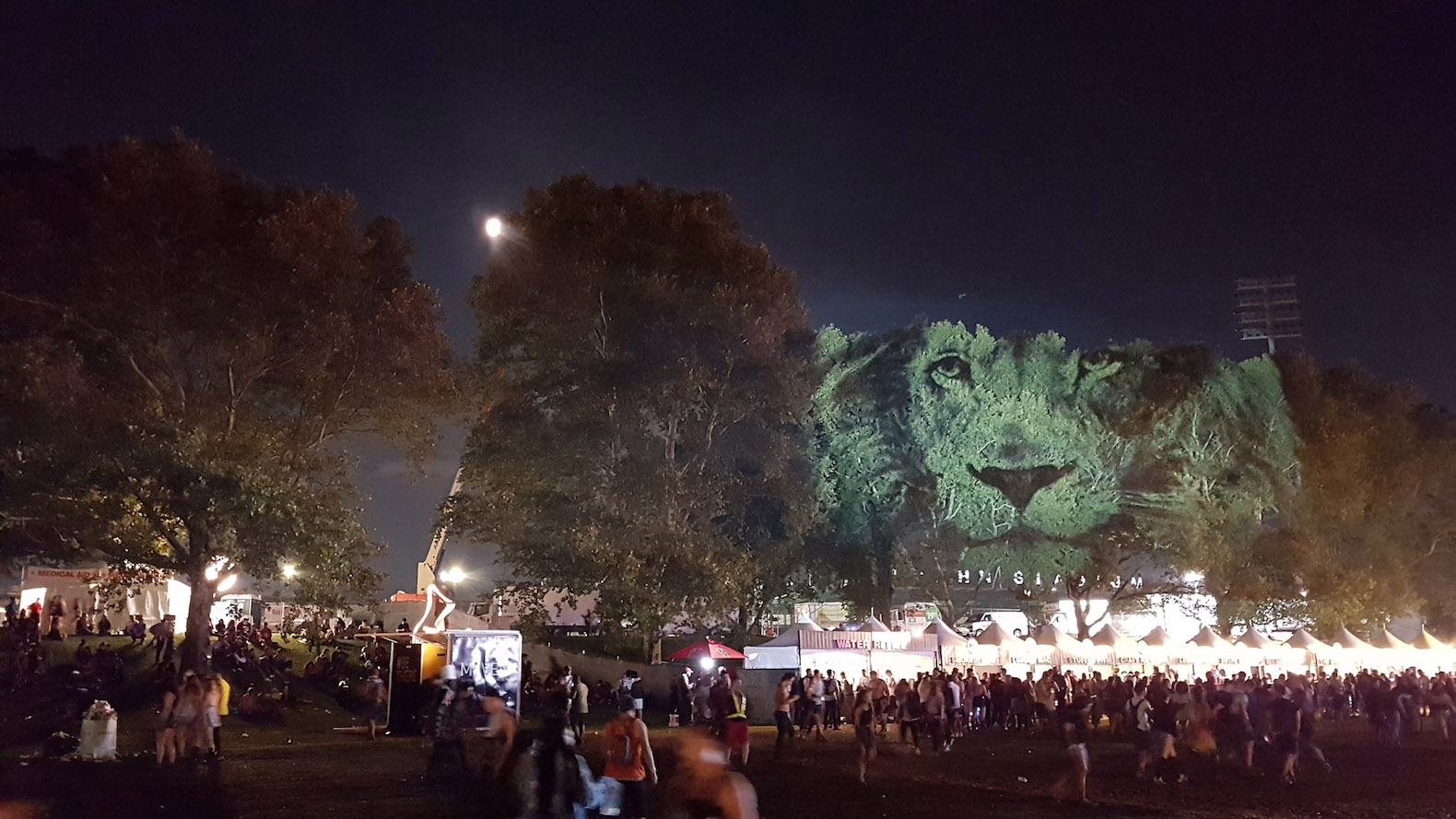 Animal Watching art, Animal Watching by Maizz Visual, Animal Watching Electric Zoo Festival, video installation art, large scale environmental awareness art, habitat destruction awareness art, Electric Zoo Festival installations,