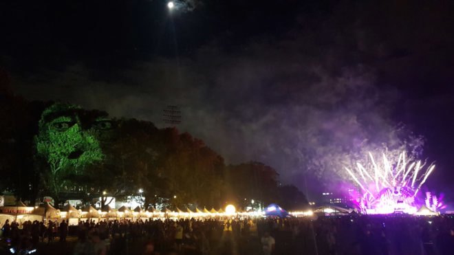 Animal Watching art, Animal Watching by Maizz Visual, Animal Watching Electric Zoo Festival, video installation art, large scale environmental awareness art, habitat destruction awareness art, Electric Zoo Festival installations,