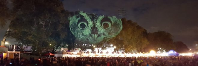 Animal Watching art, Animal Watching by Maizz Visual, Animal Watching Electric Zoo Festival, video installation art, large scale environmental awareness art, habitat destruction awareness art, Electric Zoo Festival installations,