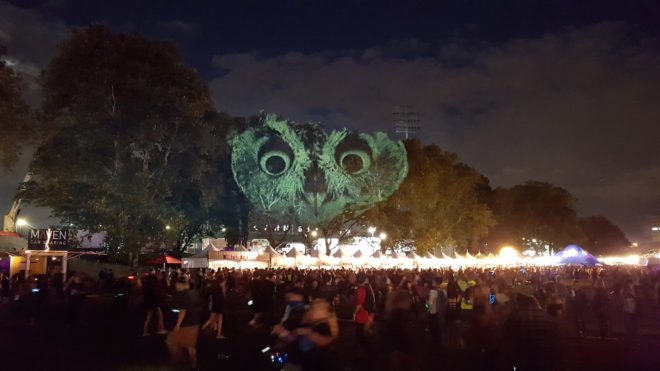 Animal Watching art, Animal Watching by Maizz Visual, Animal Watching Electric Zoo Festival, video installation art, large scale environmental awareness art, habitat destruction awareness art, Electric Zoo Festival installations,