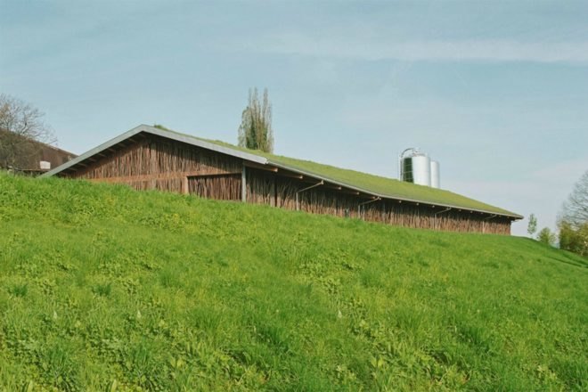 Forschungs + Architekturbüro AG, cow barn, barn design, barn renovation, stick structures, natural building materials, green building materials, sustainable building materials, cow bard design, green roof, grass-topped roof, green design, agriculture, basel barn, swiss architecture