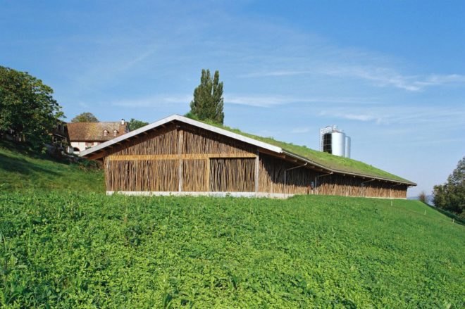 Forschungs + Architekturbüro AG, cow barn, barn design, barn renovation, stick structures, natural building materials, green building materials, sustainable building materials, cow bard design, green roof, grass-topped roof, green design, agriculture, basel barn, swiss architecture