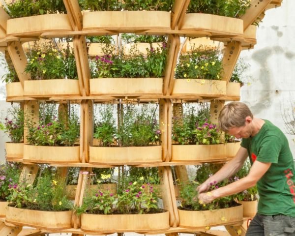 Growmore, Seoul Architecture Biennale 2017, Open Source growmore, Open Source gardening pavilion, modular building kit, modular garden kit, garden tips, garden pavilions, garden space, wooden pavilions, green pavilions, garden spaces, home gardening, modular garden systems