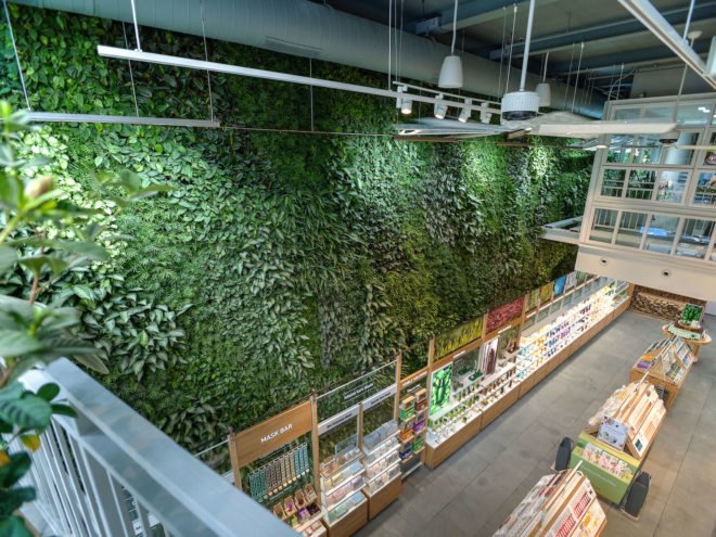Innisfree green wall, Innisfree Union Square, Innisfree NYC, Innisfree Greenery NYC, Innisfree Green Wall by Greenery NYC, New York City green walls, largest public indoor green wall NYC, tropical plant evergreen green wall