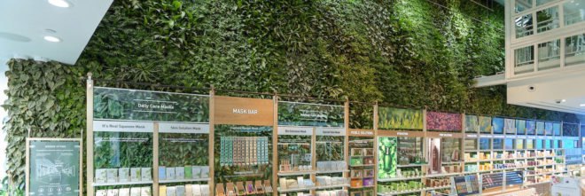 Innisfree green wall, Innisfree Union Square, Innisfree NYC, Innisfree Greenery NYC, Innisfree Green Wall by Greenery NYC, New York City green walls, largest public indoor green wall NYC, tropical plant evergreen green wall
