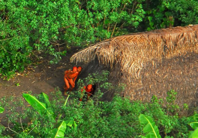 Uncontacted, uncontacted tribe, uncontacted tribes, uncontacted Amazon tribe, uncontacted Amazon tribes, Funai, Amazon, Brazil, isolated, isolated tribe, isolated tribes, indigenous, indigenous people, indigenous peoples