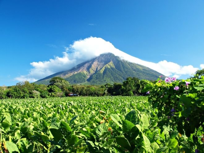 Nicaragua, United States, Syria, Paris Accord, Paris Climate Agreement, climate change, global warming, sustainability, solar, politics
