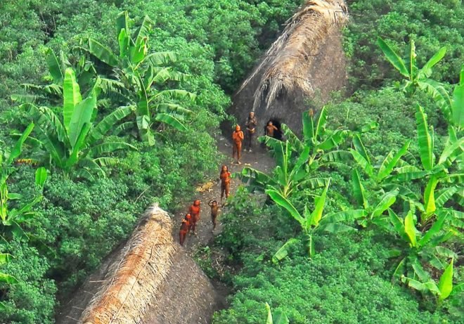 Uncontacted, uncontacted tribe, uncontacted tribes, uncontacted Amazon tribe, uncontacted Amazon tribes, Funai, Amazon, Brazil, isolated, isolated tribe, isolated tribes, indigenous, indigenous people, indigenous peoples
