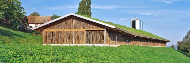 Forschungs + Architekturbüro AG, cow barn, barn design, barn renovation, stick structures, natural building materials, green building materials, sustainable building materials, cow bard design, green roof, grass-topped roof, green design, agriculture, basel barn, swiss architecture