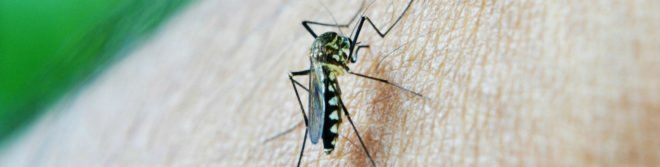 South East Asia, Thailand, Monsoon, mosquito, malaria, super malaria, parasite, health, poverty,