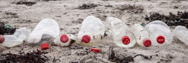 Coca-Cola, Coke, plastic, plastic bottles, plastic bottle production, Greenpeace, pollution, recycling, recycled materials, conservation, oceans, waste, trash, birds, fish, wildlife, aquatic wildlife