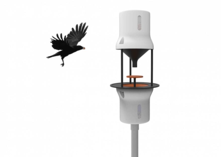 CrowBar, Crowded Cities, crows, pollution, cigarette butts, environment, innovation, wildlife, clean tech, 