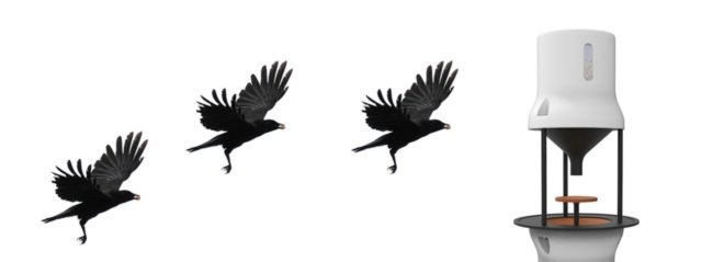 CrowBar, Crowded Cities, crows, pollution, cigarette butts, environment, innovation, wildlife, clean tech,