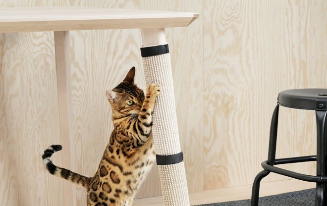 Ikea, LURVIG, pet, pets, pet furniture, cat furniture, dog furniture, furniture, accessories, cat, cats, kitten, kittens, dog, dogs, puppy, puppies, animal, animals, home